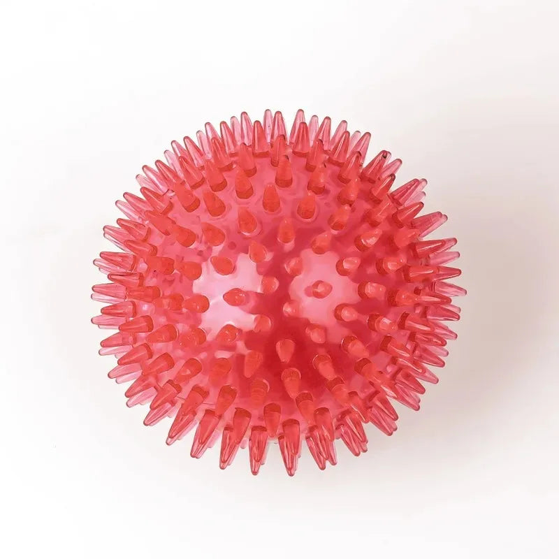 Balle Épineuse Sonore Jeu, Entraînement et Hygiène Dentaire