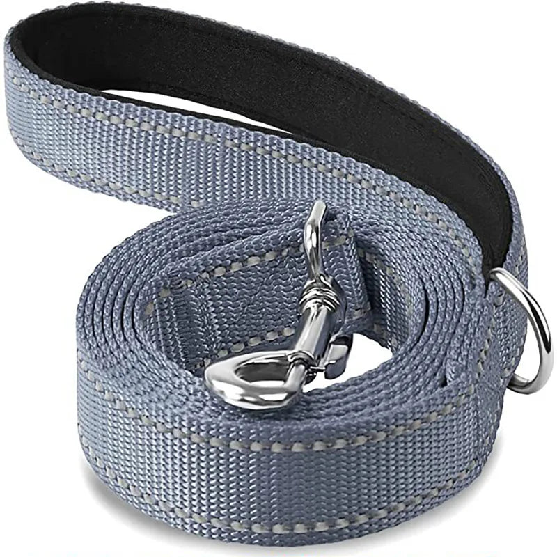 Laisse Réfléchissante pour Chien et Chat - Corde de Traction Robuste - Idéal Promenade, Dressage et Sécurité Nocturne