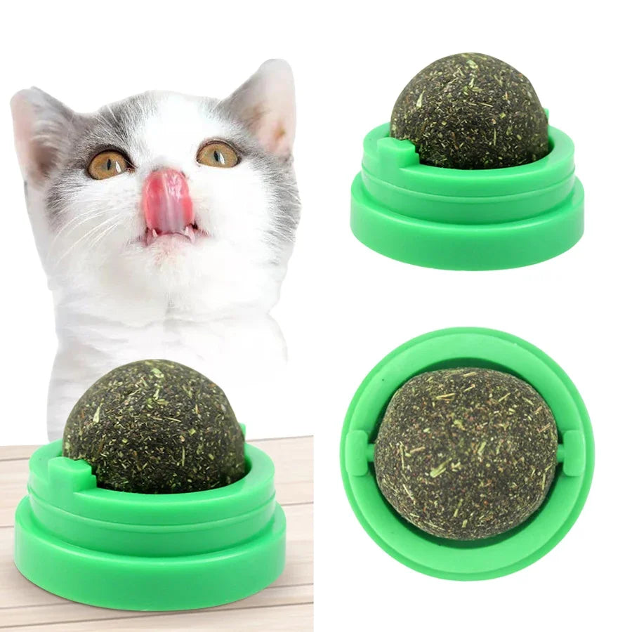 Boule de Cataire Rotative : Soin Dentaire et Divertissement Interactif