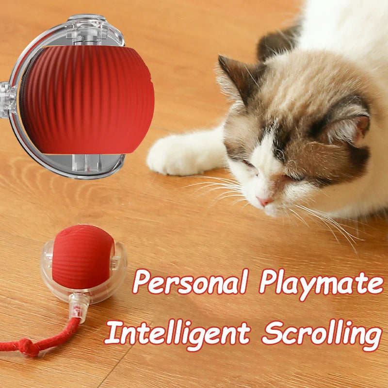 Balle Interactive Automatique pour Chat : Le Compagnon de Chasse Intelligent