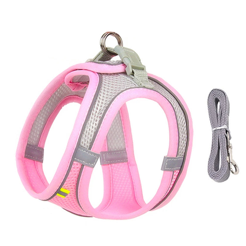 Harnais + Laisse Ajustable pour Petit Chien – Gilet Respirant Réfléchissant, Confort & Sécurité.