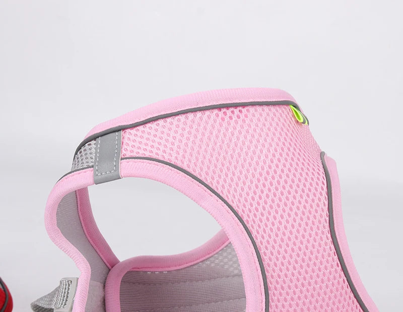 Harnais + Laisse Ajustable pour Petit Chien – Gilet Respirant Réfléchissant, Confort & Sécurité.