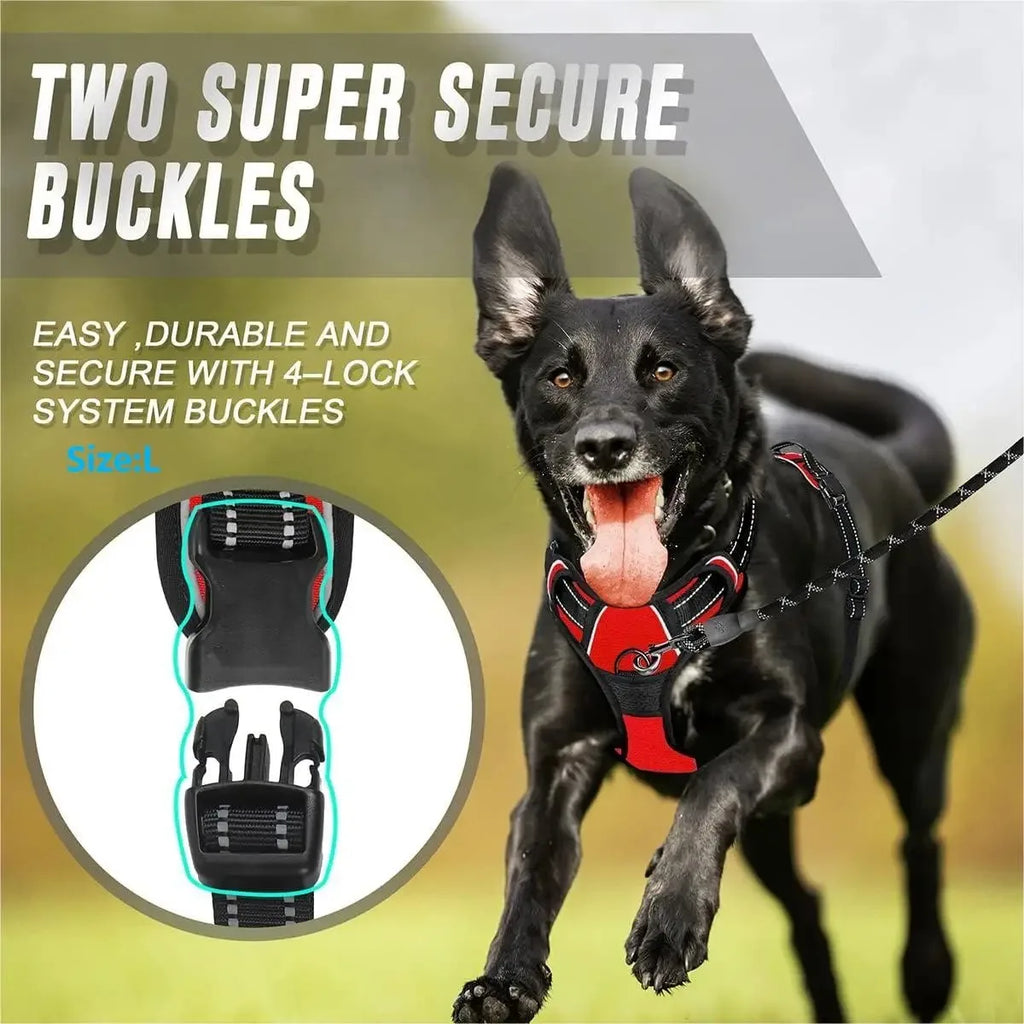 Ensemble Collier, Harnais et Laisse pour Chien – Accessoires Complets pour Petit et Moyen Chien