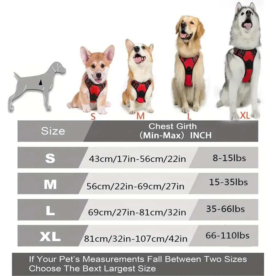 Ensemble Collier, Harnais et Laisse pour Chien – Accessoires Complets pour Petit et Moyen Chien
