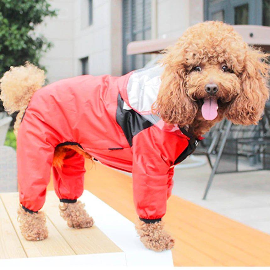 Imperméable "The Dog Face" – Veste Waterproof et Coupe-vent pour Chien