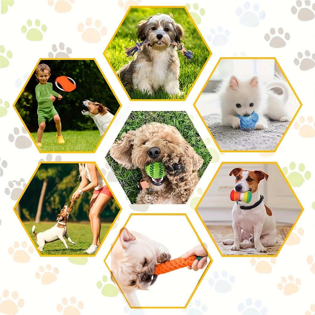 Interactive Dog Toy Set. Durable Cotton & Squeaky Toys for Small and Medium Dogs