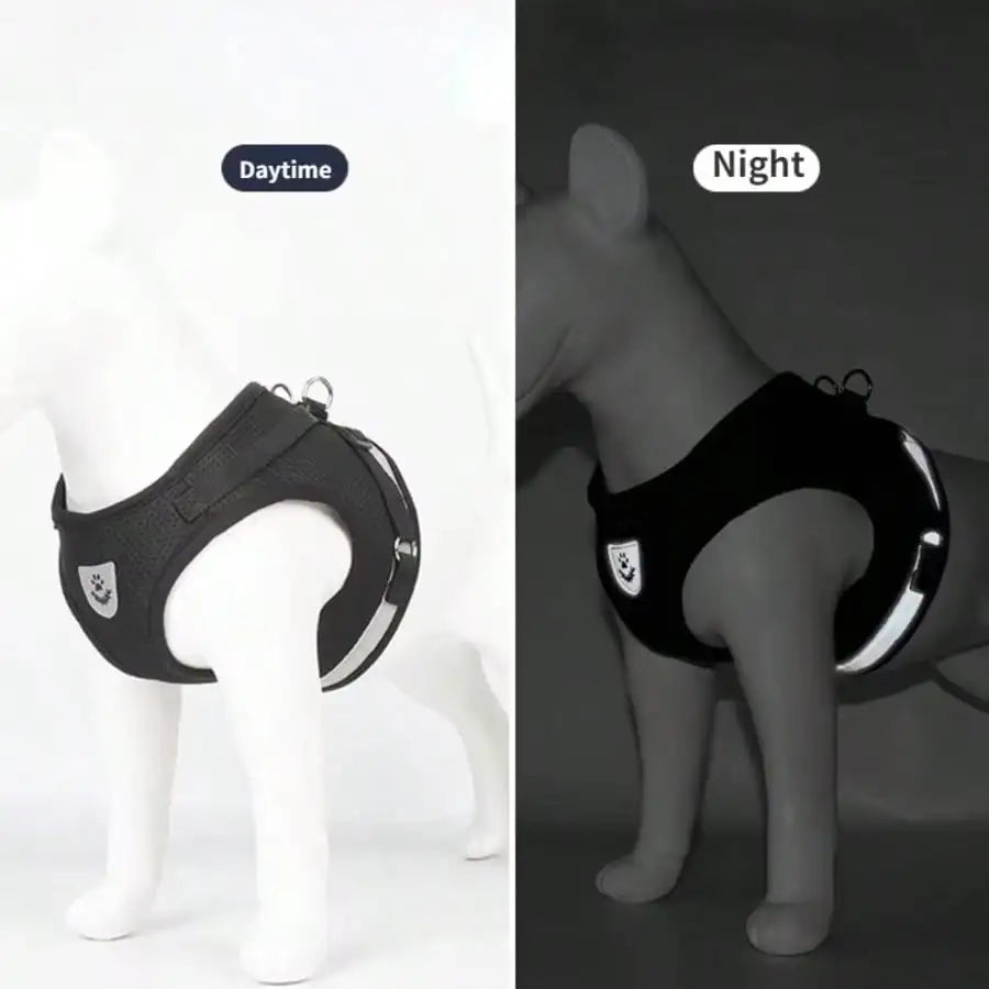 Harnais-Gilet Ajustable et Confortable – Sécurité Nocturne