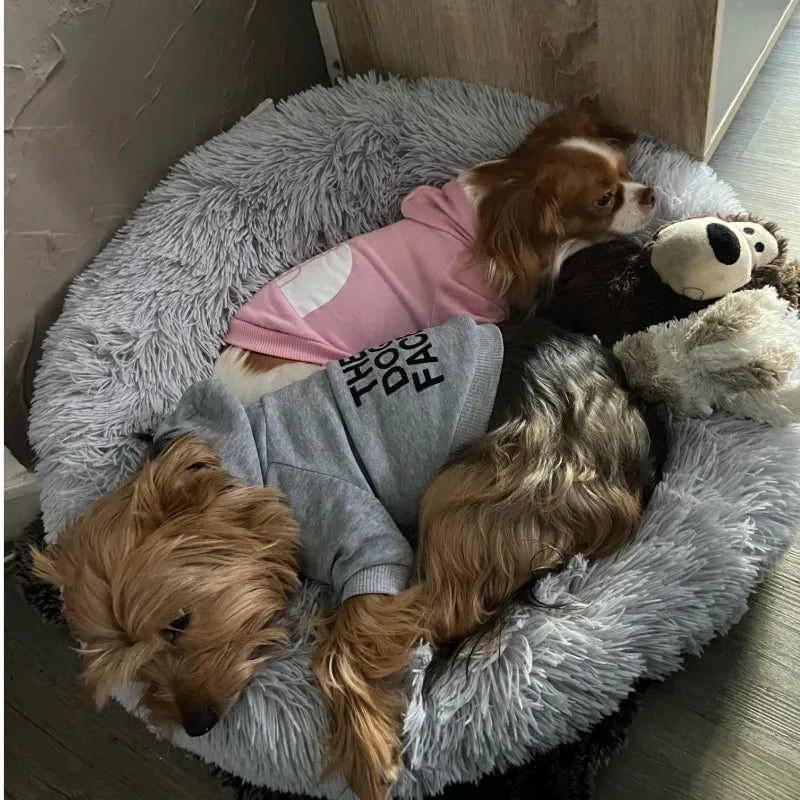 Sweat à Capuche "The Dog Face" – Hoodie Chaud et Coupe-vent pour Chien