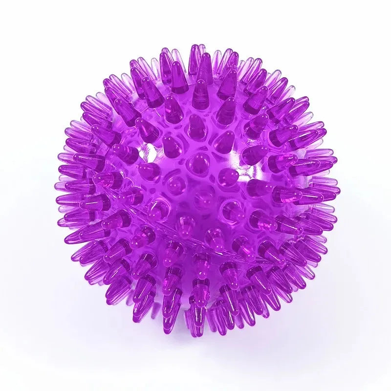 Balle Épineuse Sonore Jeu, Entraînement et Hygiène Dentaire