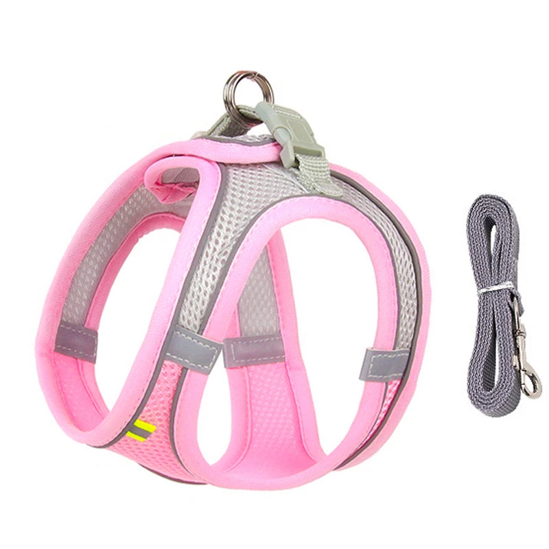 Harnais + Laisse Ajustable pour Petit Chien – Gilet Respirant Réfléchissant, Confort & Sécurité.
