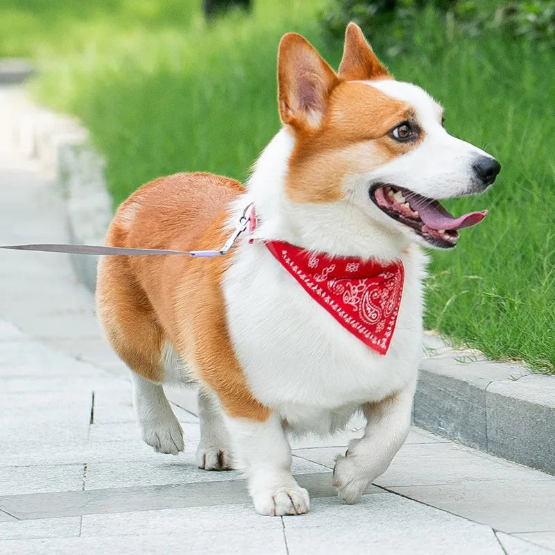 Collier à Foulard pour Animaux – Cuir PU Souple et Ajustable – Look Tendance