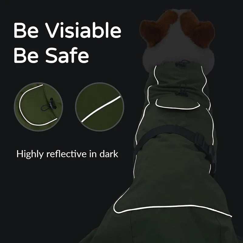 Manteau de Pluie Coupe-vent pour Chien – Imperméable avec Bande Réfléchissante