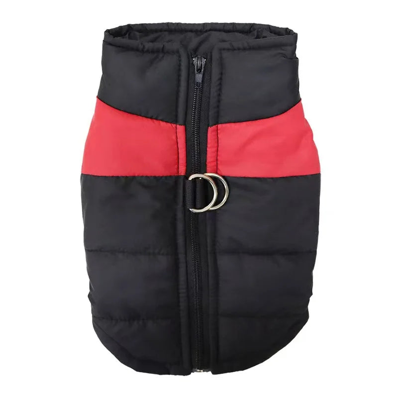 Veste d'Hiver Matelassée pour Chien – Imperméable, Chaude et Zippée