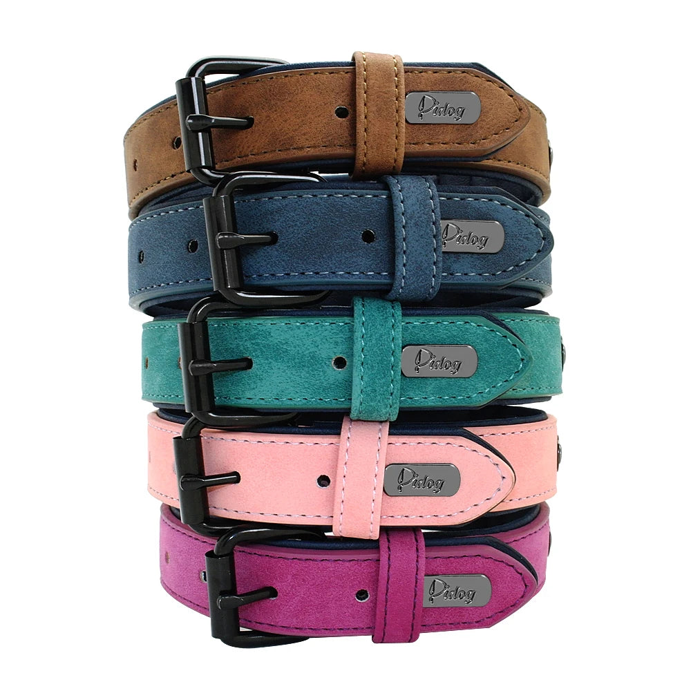 Collier en Cuir Rembourré pour Chien – Confort Premium –