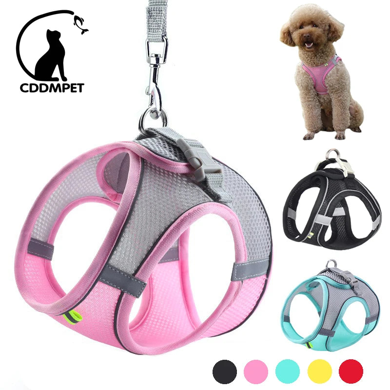 Harnais + Laisse Ajustable pour Petit Chien – Gilet Respirant Réfléchissant, Confort & Sécurité.