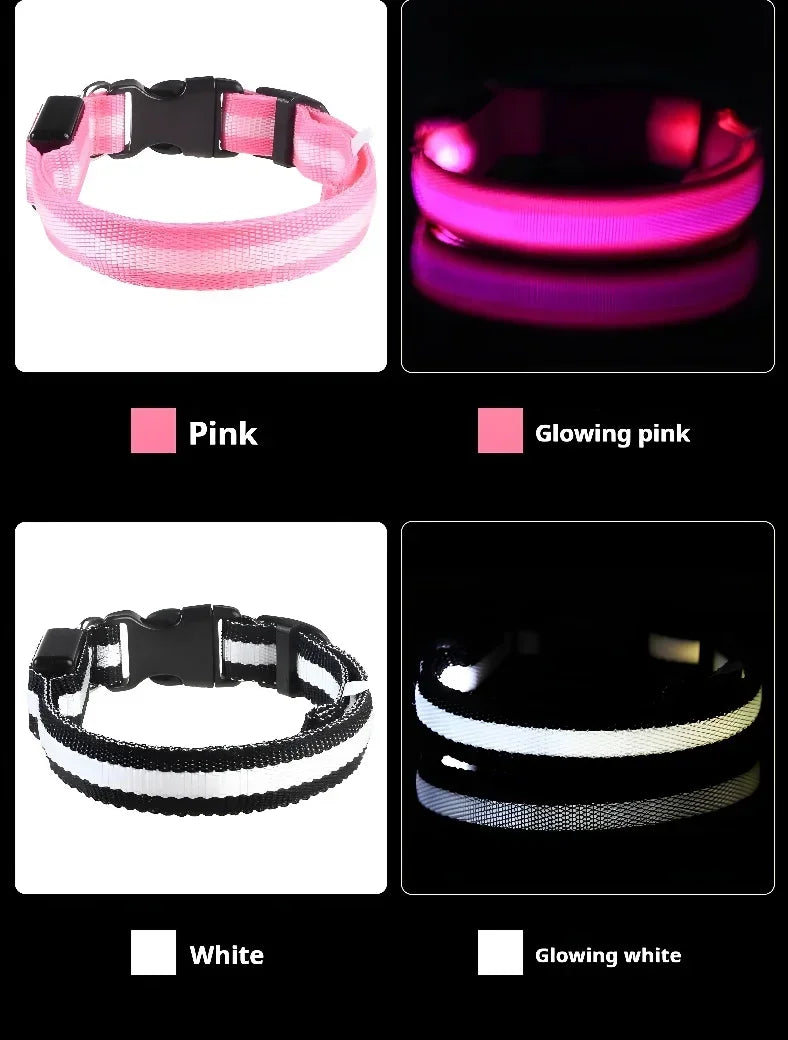 Collier LED Lumineux pour Chien – Nylon Réfléchissant, Sécurité, Clignotant & Fluorescent