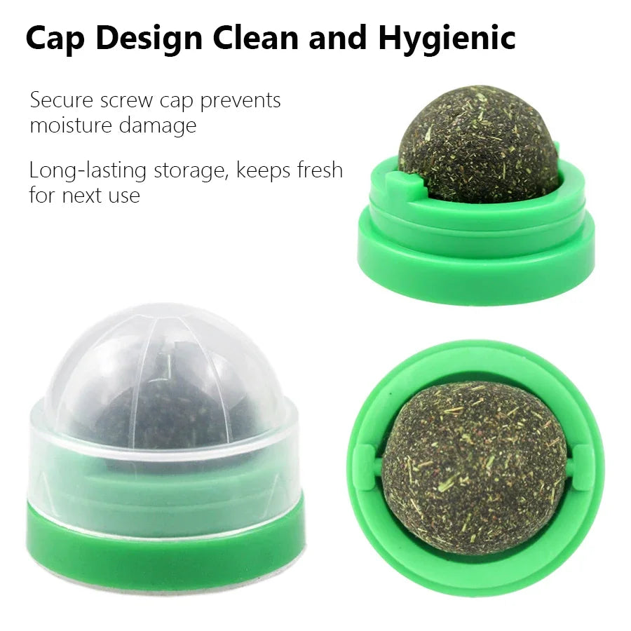 Boule de Cataire Rotative : Soin Dentaire et Divertissement Interactif