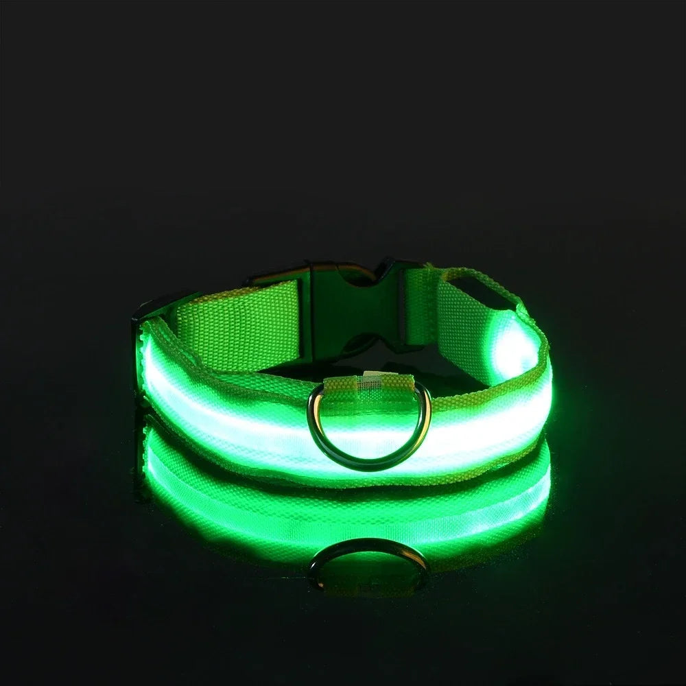 Collier LED Lumineux pour Chien – Nylon Réfléchissant, Sécurité, Clignotant & Fluorescent