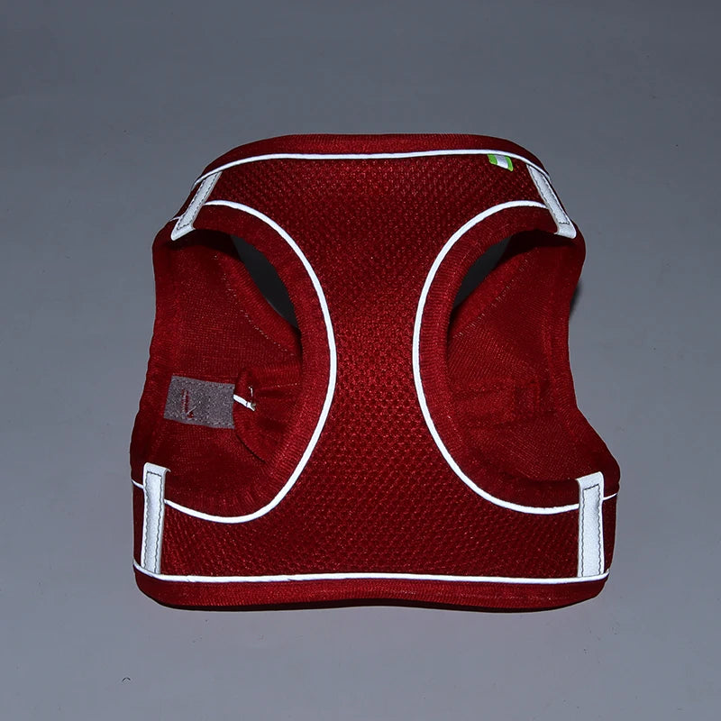 Harnais + Laisse Ajustable pour Petit Chien – Gilet Respirant Réfléchissant, Confort & Sécurité.