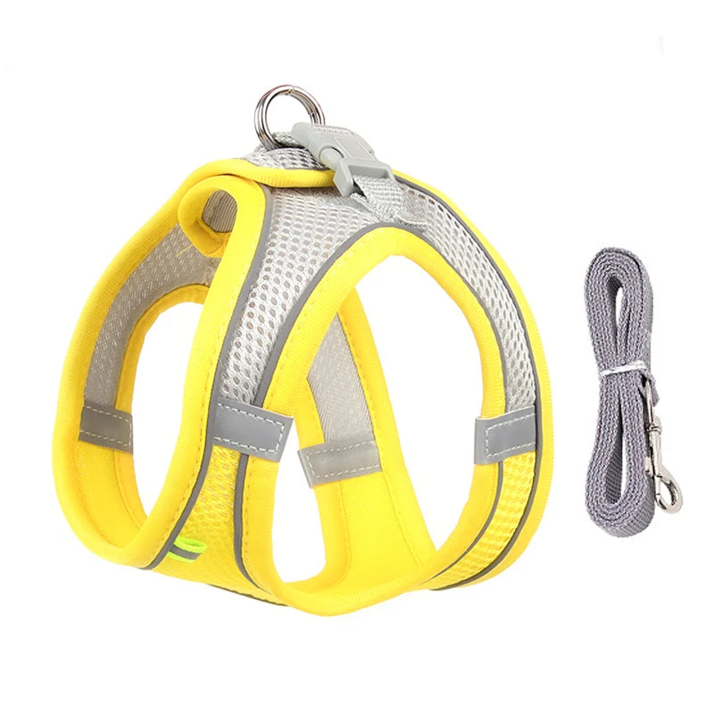 Harnais + Laisse Ajustable pour Petit Chien – Gilet Respirant Réfléchissant, Confort & Sécurité.