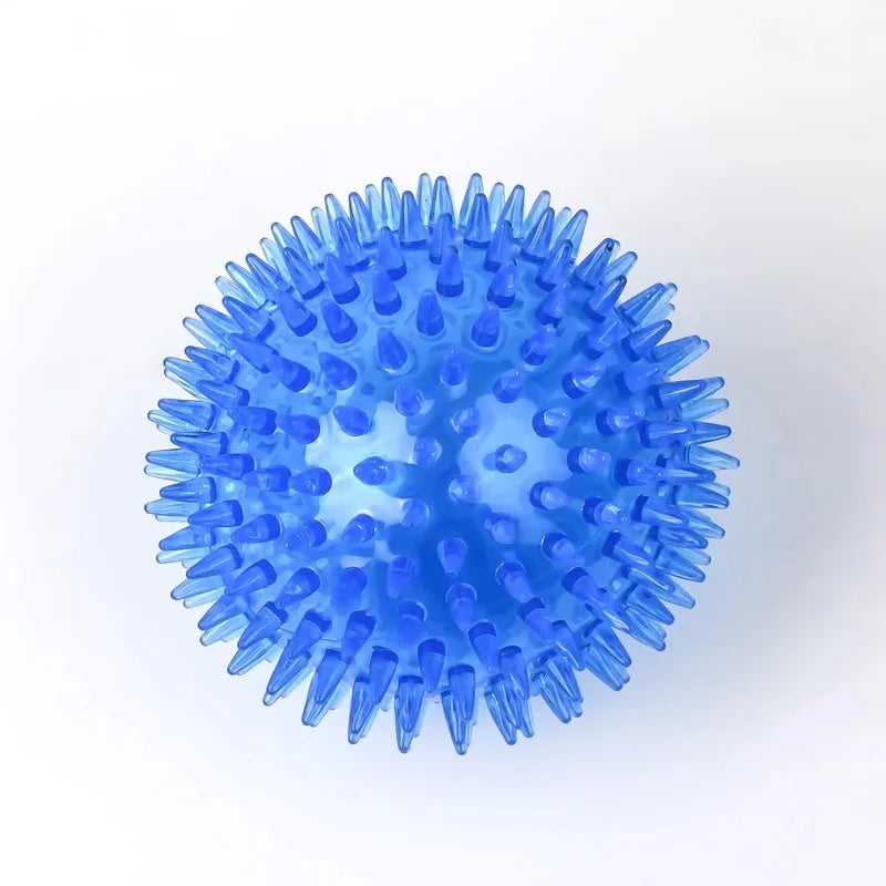 Balle Épineuse Sonore Jeu, Entraînement et Hygiène Dentaire