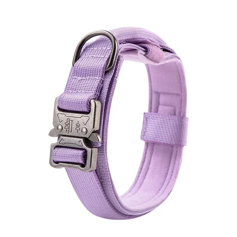 Collier Tactique Style Sport pour Chien – Modèle Robuste avec Poignée de Traction