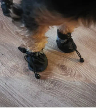 Bottines Imperméables et Antidérapantes pour Petits Chiens et Chats