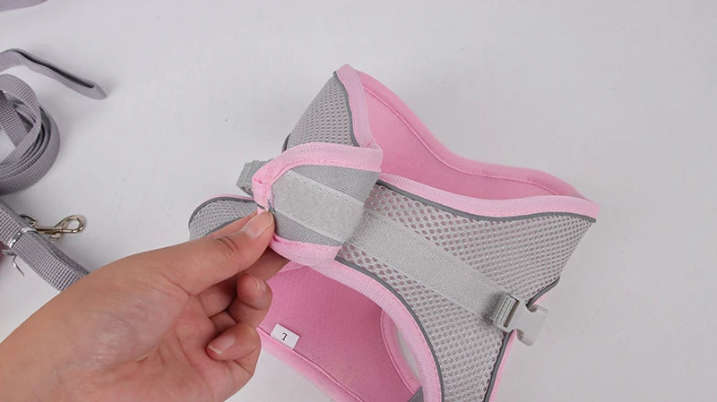 Harnais + Laisse Ajustable pour Petit Chien – Gilet Respirant Réfléchissant, Confort & Sécurité.