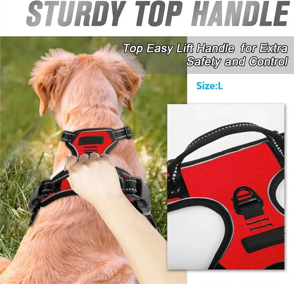 Ensemble Collier, Harnais et Laisse pour Chien – Accessoires Complets pour Petit et Moyen Chien