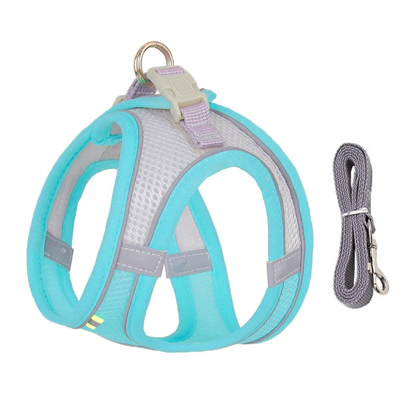 Harnais + Laisse Ajustable pour Petit Chien – Gilet Respirant Réfléchissant, Confort & Sécurité.