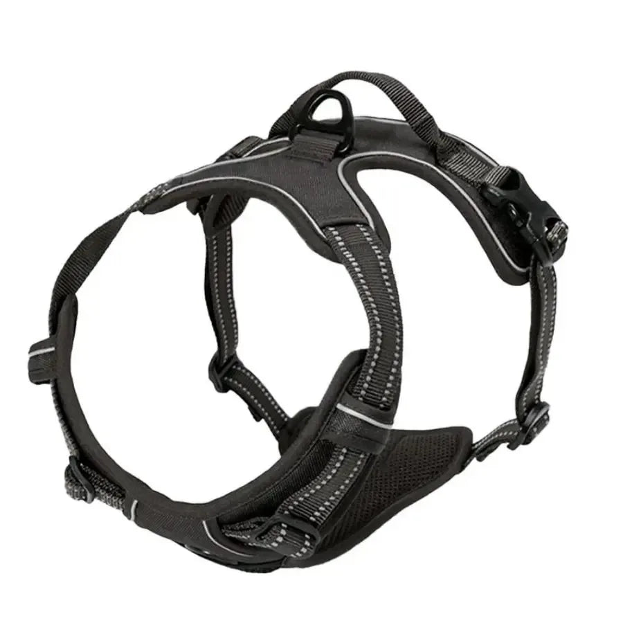 Ensemble Collier, Harnais et Laisse pour Chien – Accessoires Complets pour Petit et Moyen Chien