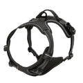 Ensemble Collier, Harnais et Laisse pour Chien – Accessoires Complets pour Petit et Moyen Chien
